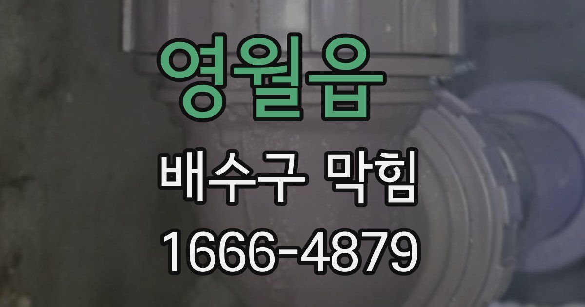 영월읍 배수구 막힘
