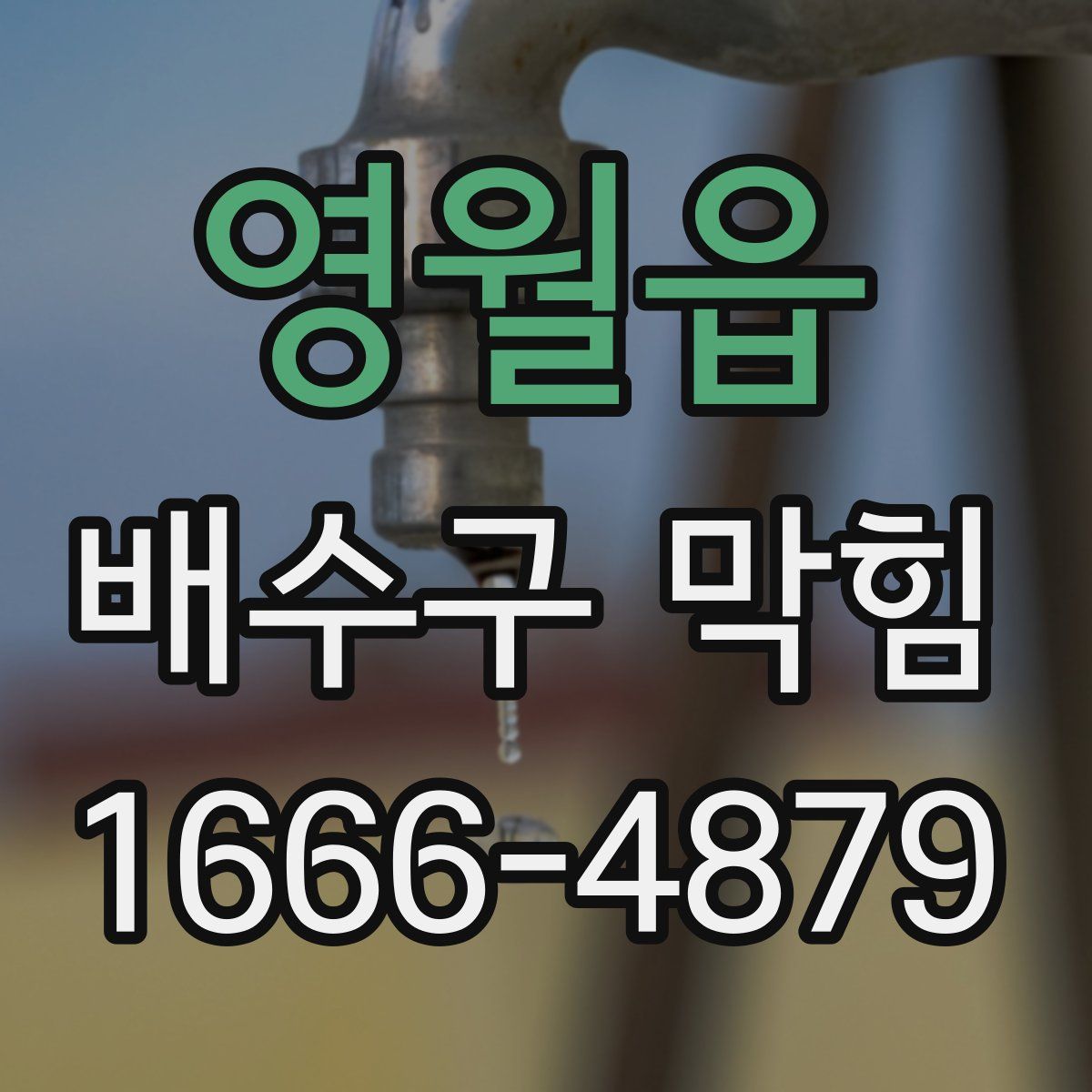 영월읍 배수구 막힘