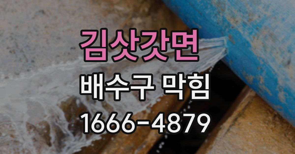 김삿갓면 배수구 막힘