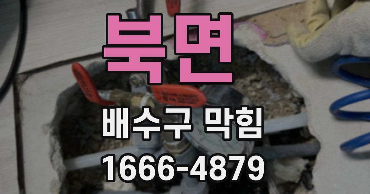 북면 배수구 막힘