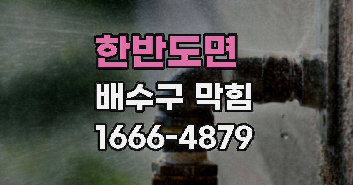 한반도면 배수구 막힘