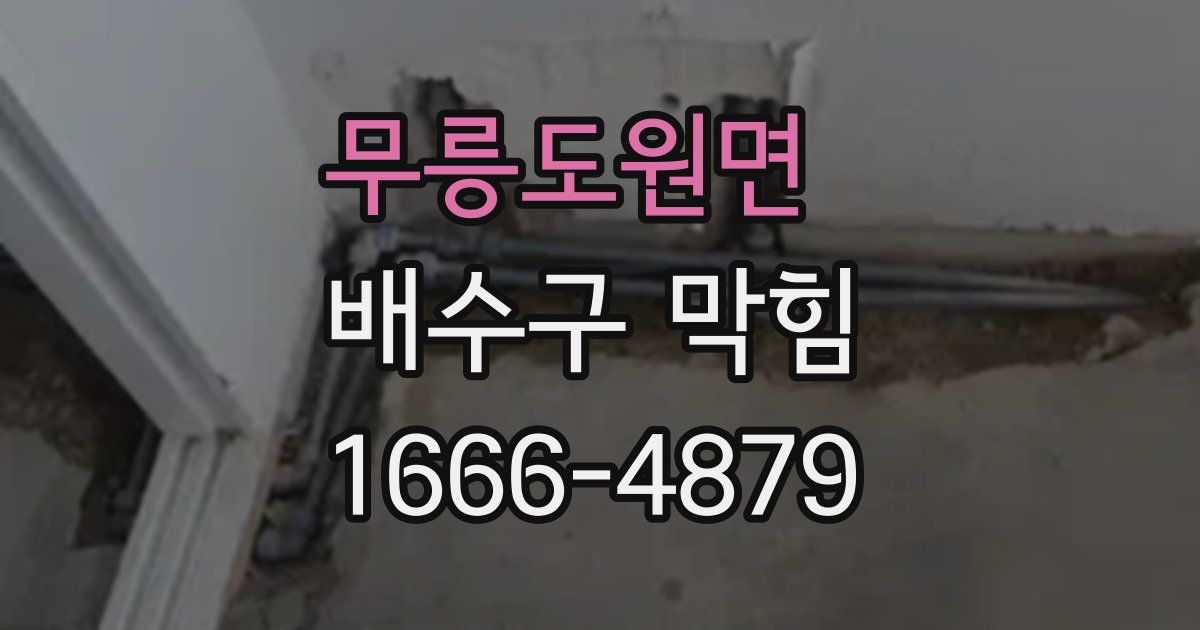 무릉도원면 배수구 막힘