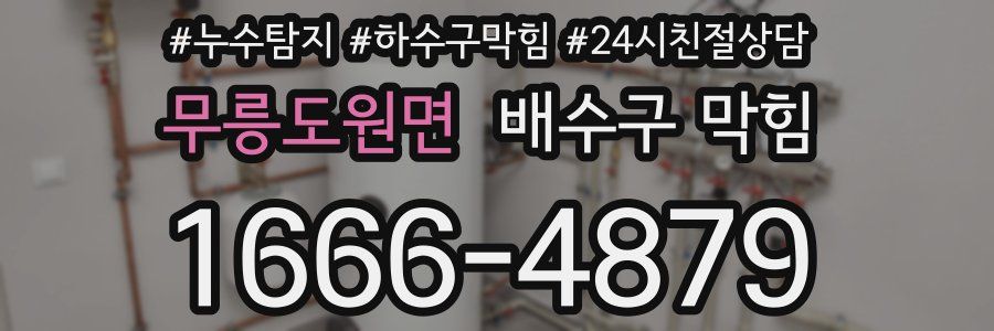 무릉도원면 배수구 막힘