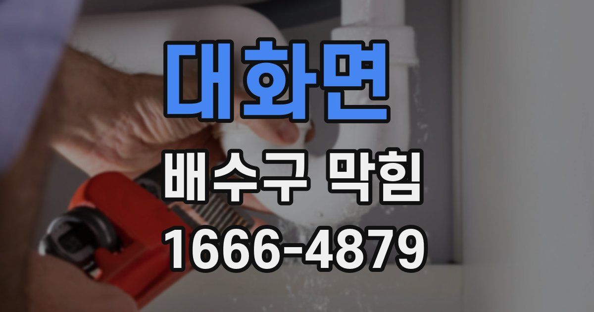 대화면 배수구 막힘