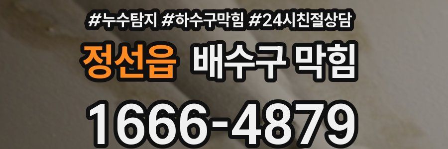 정선읍 배수구 막힘