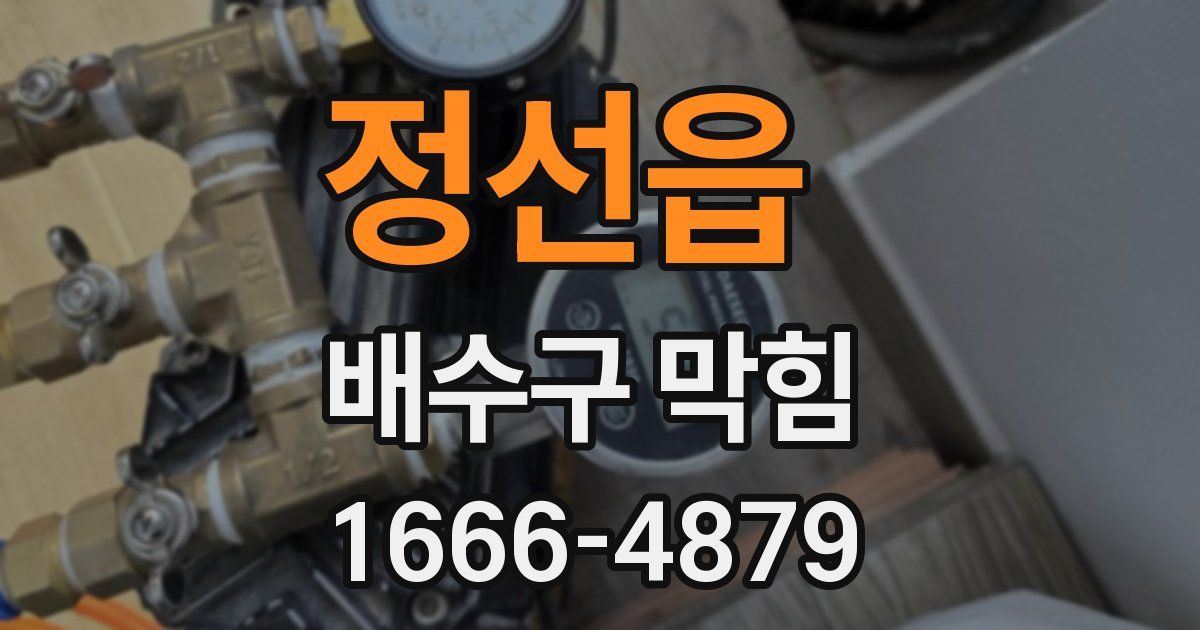 정선읍 배수구 막힘