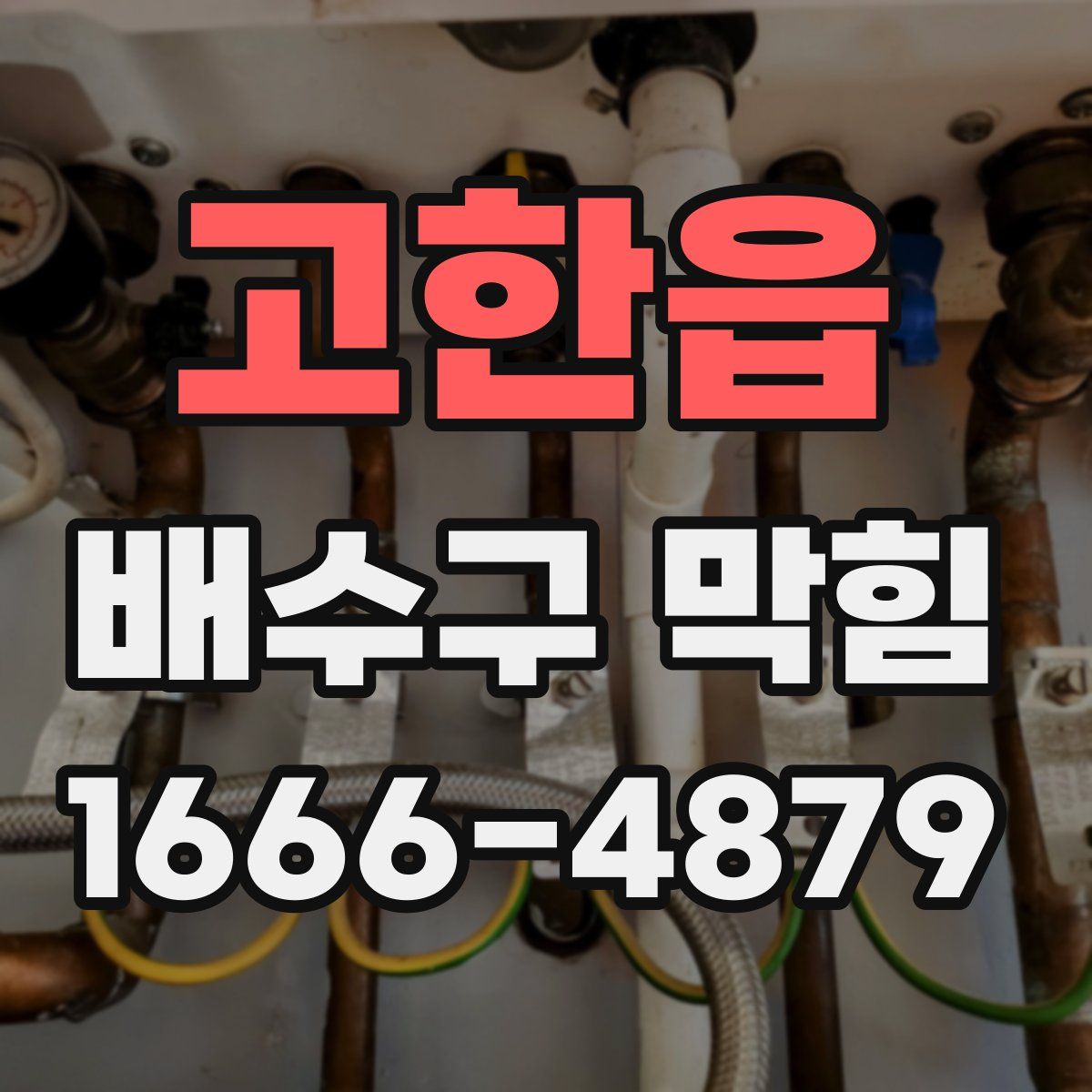 고한읍 배수구 막힘
