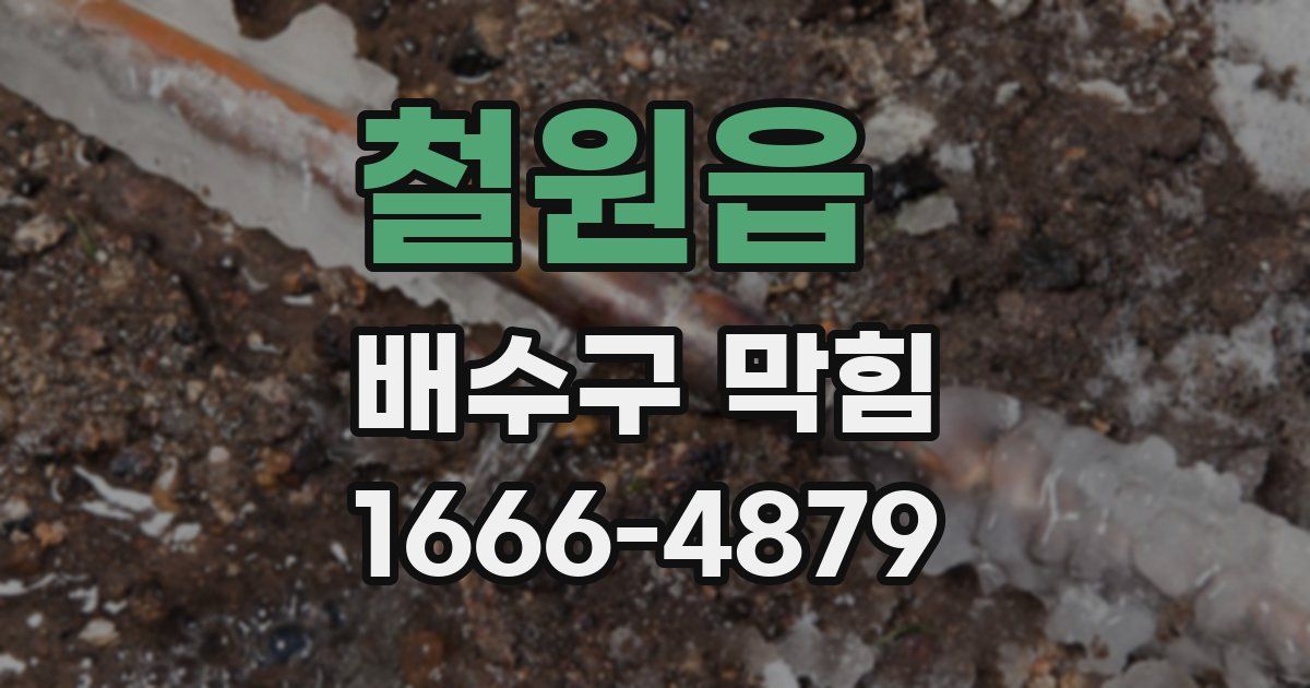 철원읍 배수구 막힘