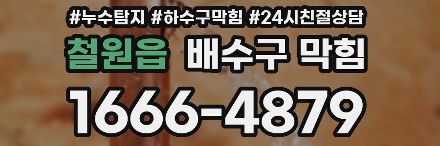 철원읍 배수구 막힘