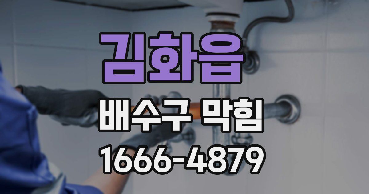 김화읍 배수구 막힘
