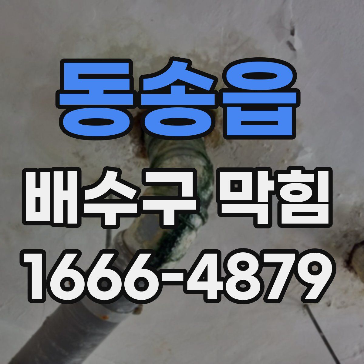 동송읍 배수구 막힘