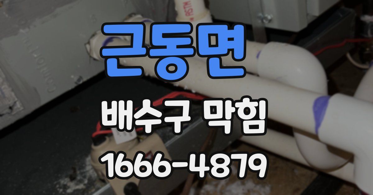 근동면 배수구 막힘