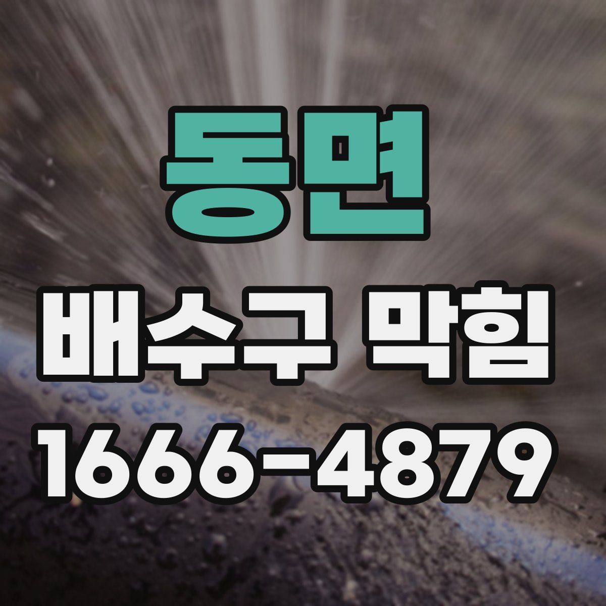 동면 배수구 막힘