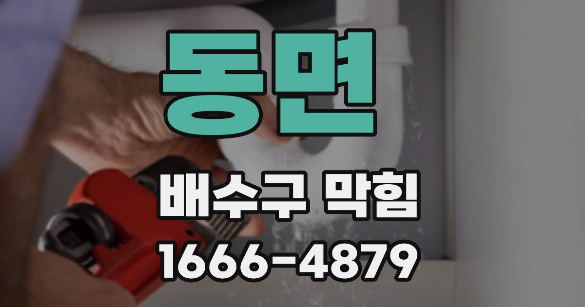 동면 배수구 막힘