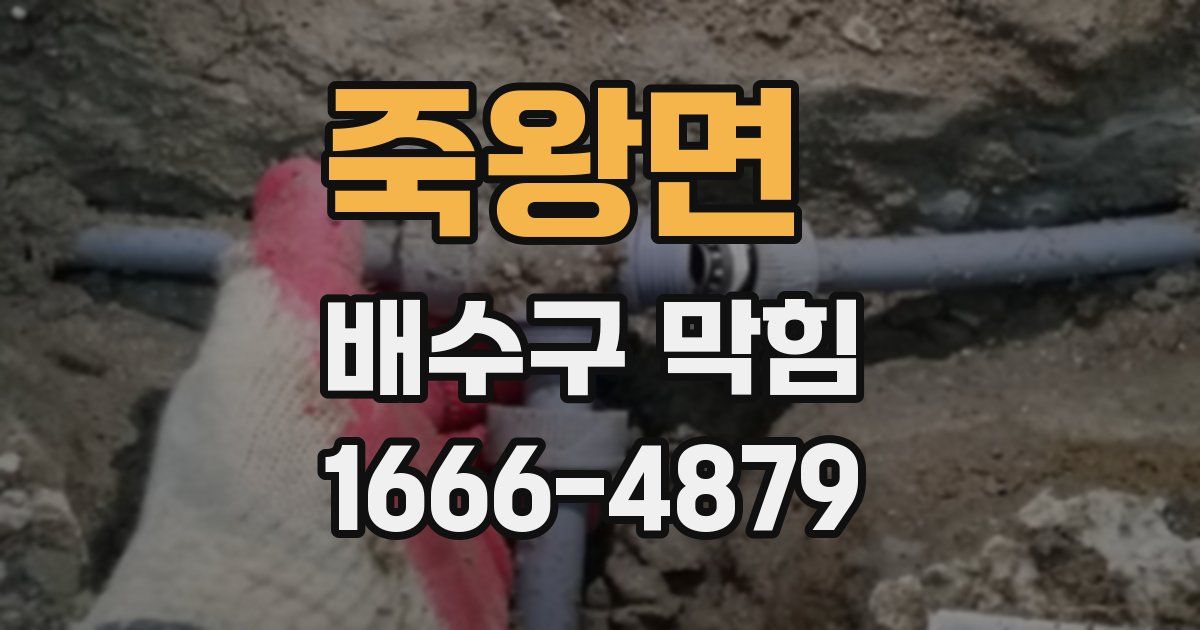 죽왕면 배수구 막힘