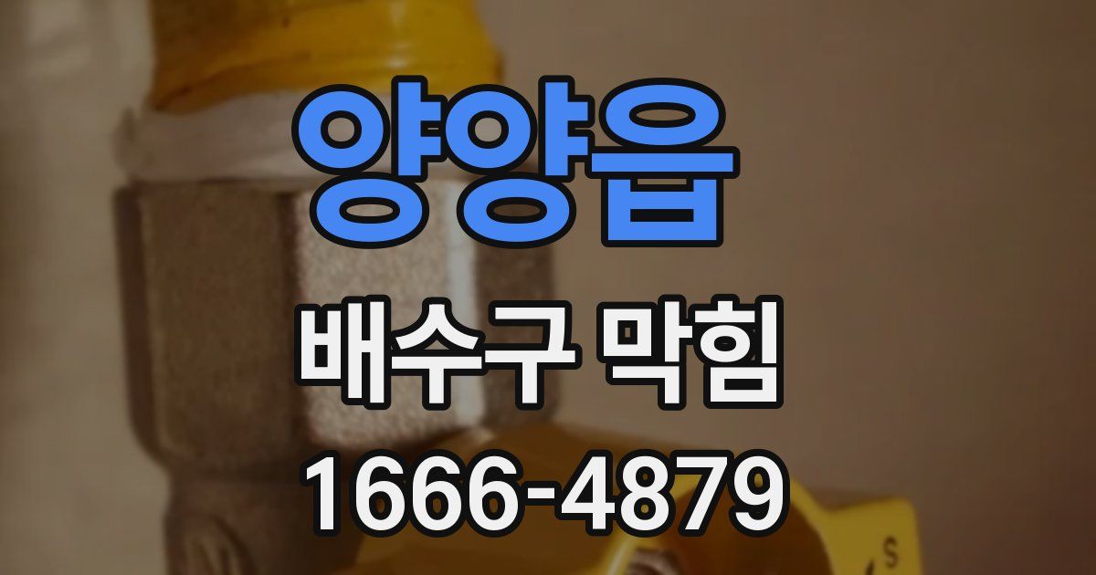 양양읍 배수구 막힘