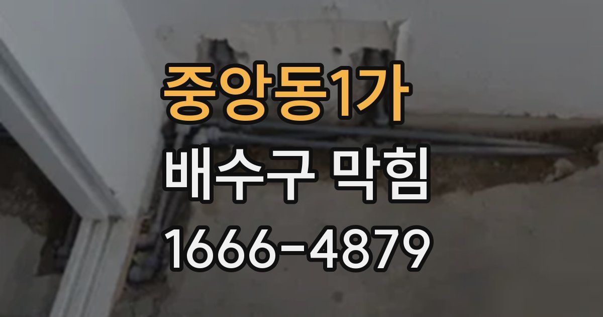 중앙동1가 배수구 막힘