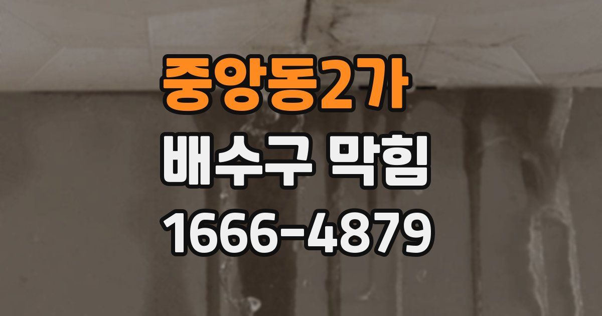 중앙동2가 배수구 막힘