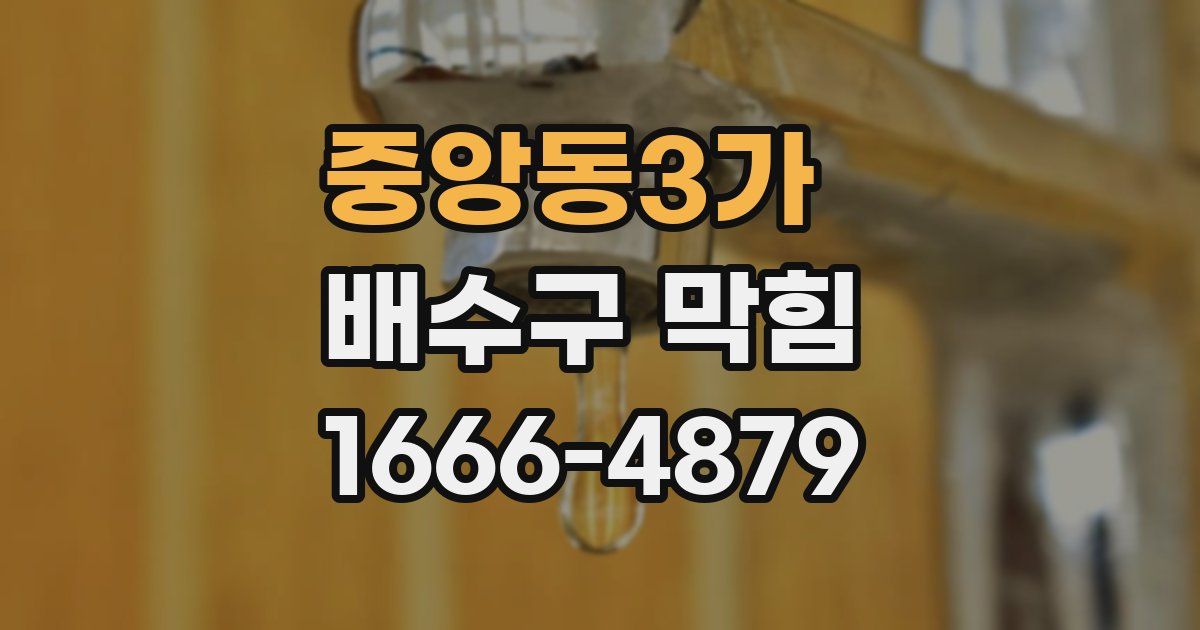중앙동3가 배수구 막힘