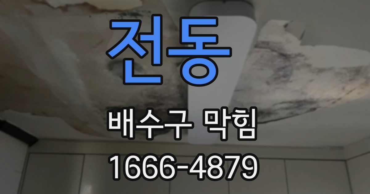 전동 배수구 막힘