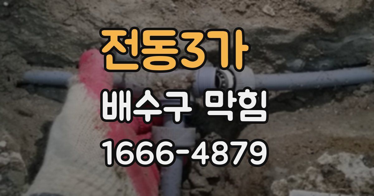 전동3가 배수구 막힘