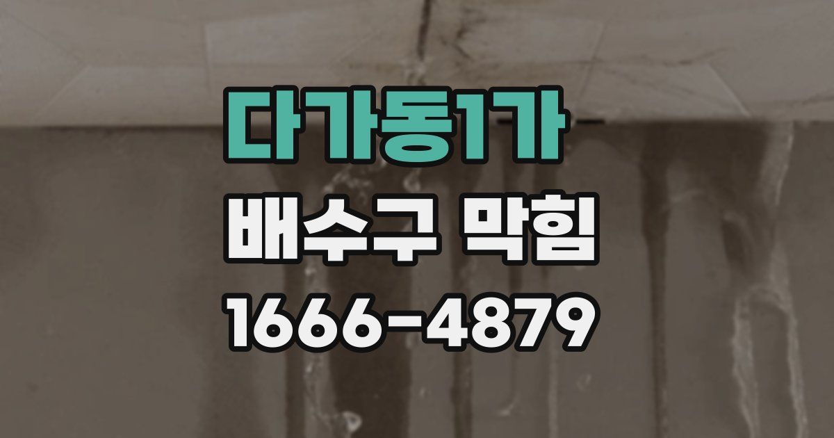 다가동1가 배수구 막힘