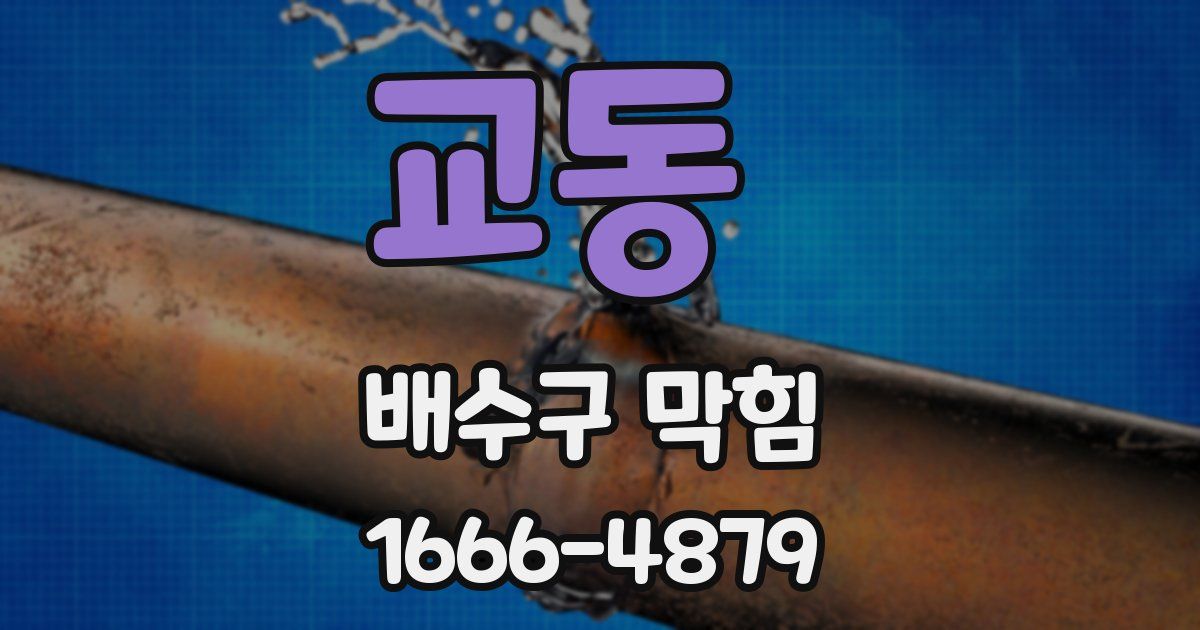 교동 배수구 막힘