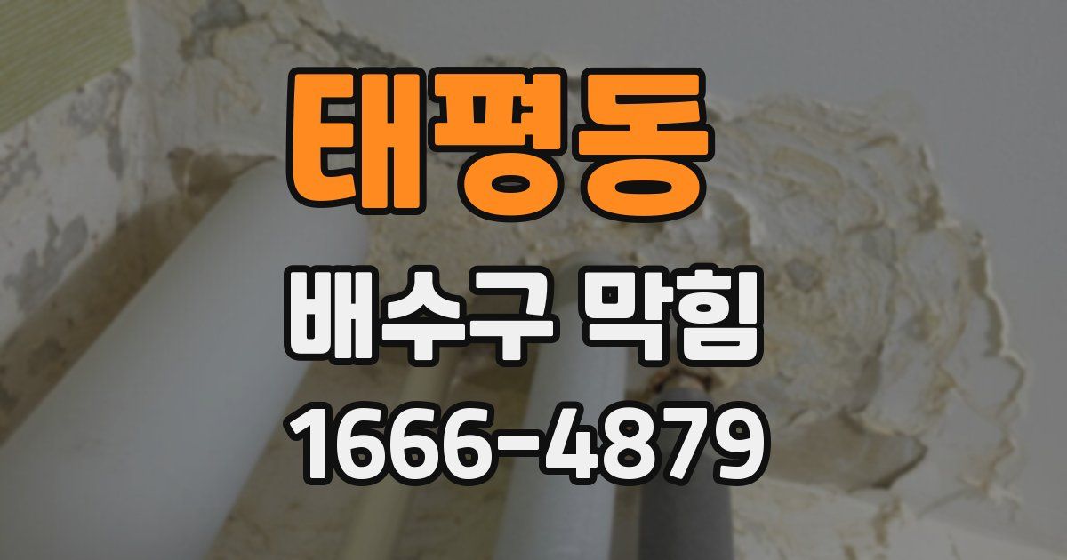 태평동 배수구 막힘