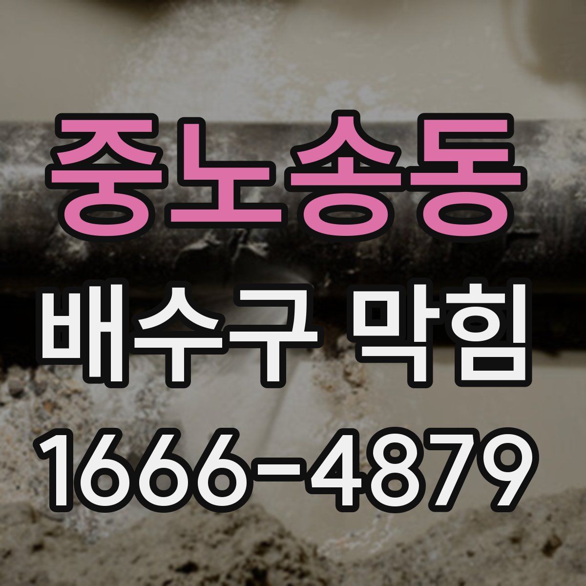 중노송동 배수구 막힘