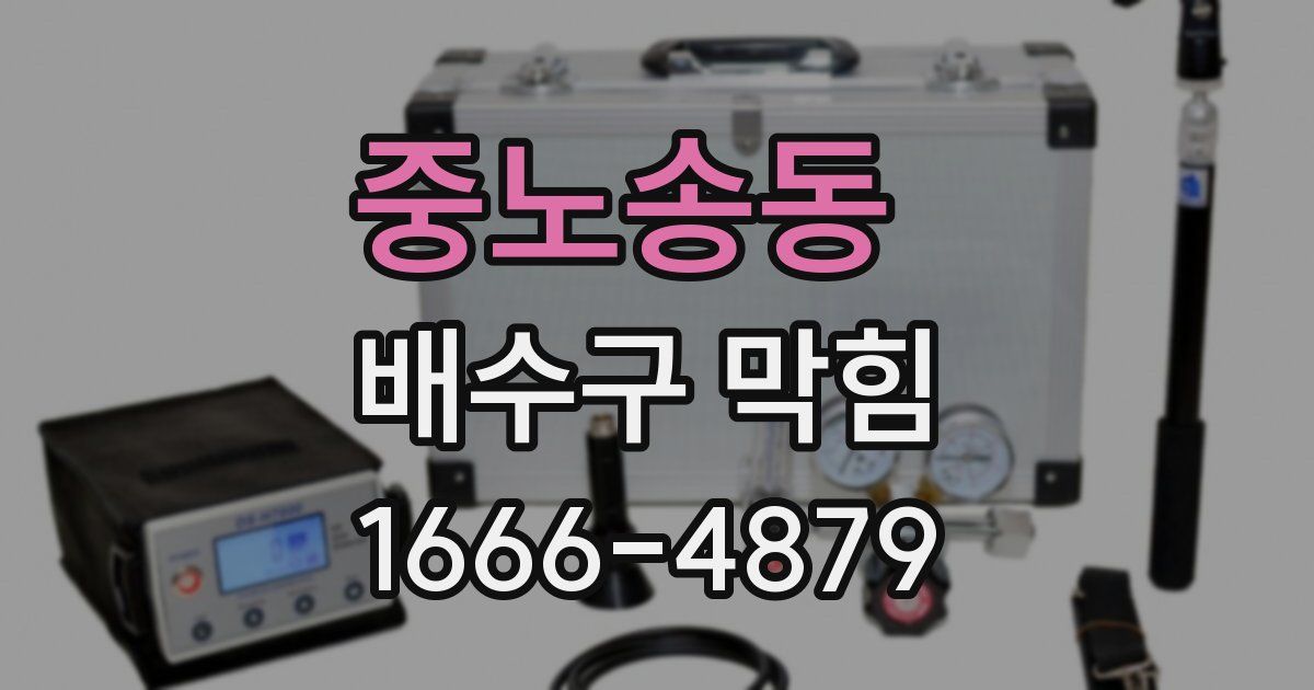 중노송동 배수구 막힘