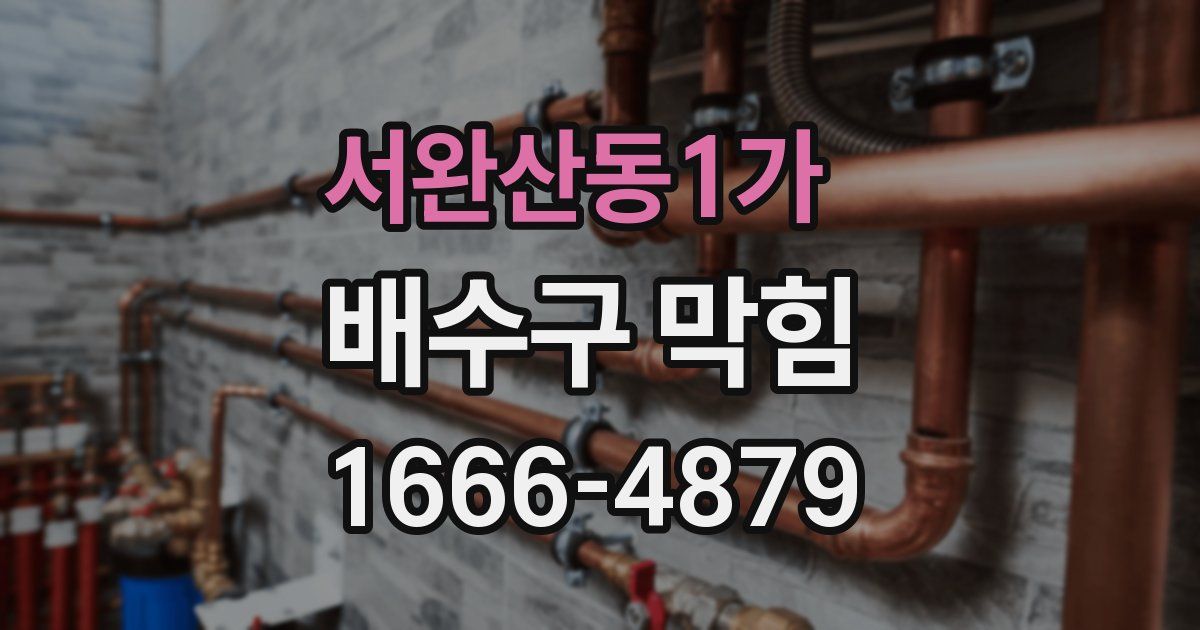 서완산동1가 배수구 막힘