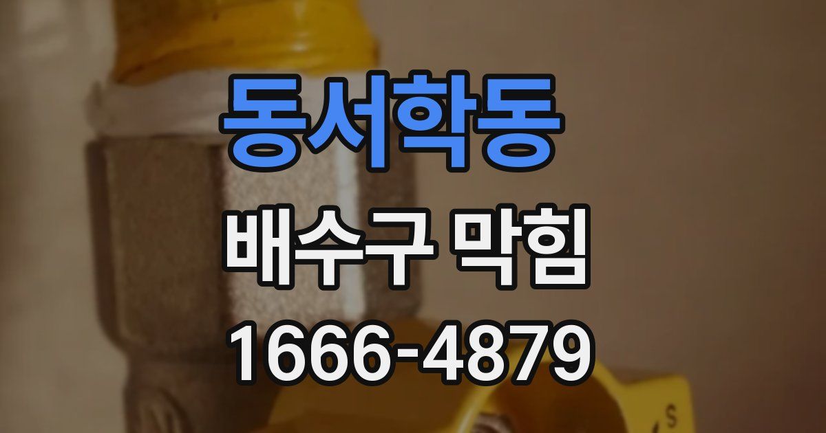 동서학동 배수구 막힘