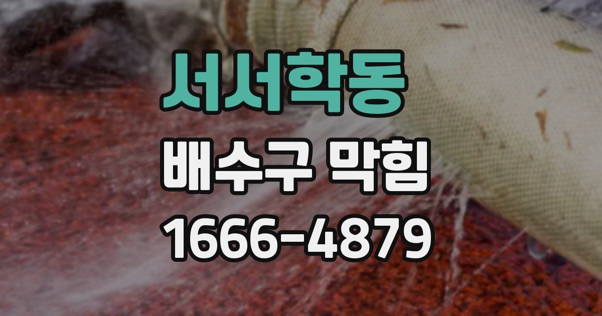 서서학동 배수구 막힘