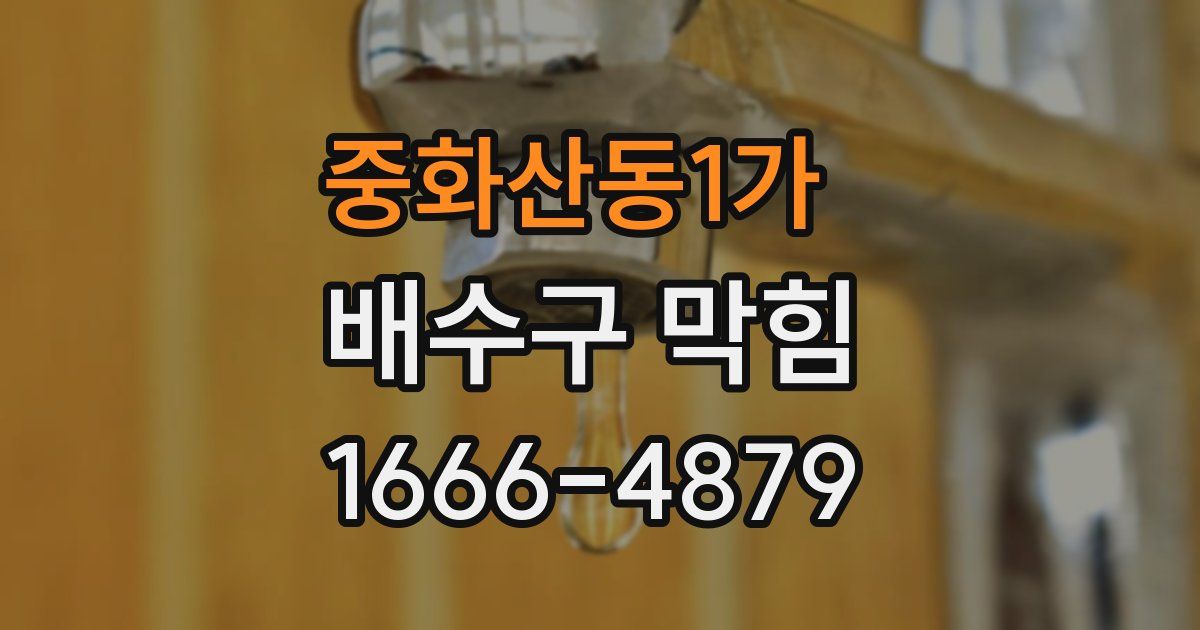 중화산동1가 배수구 막힘