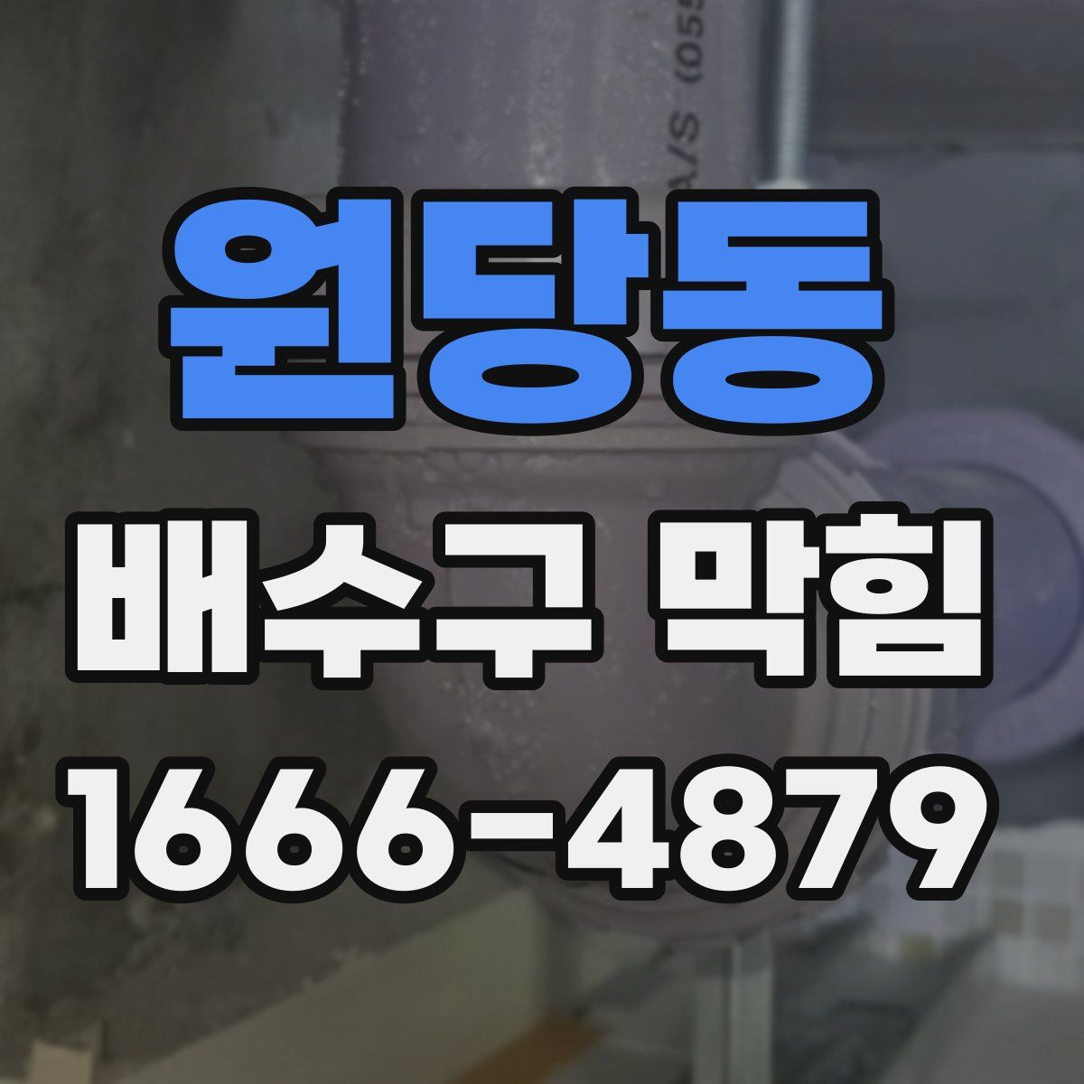 원당동 배수구 막힘