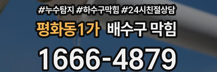 평화동1가 배수구 막힘