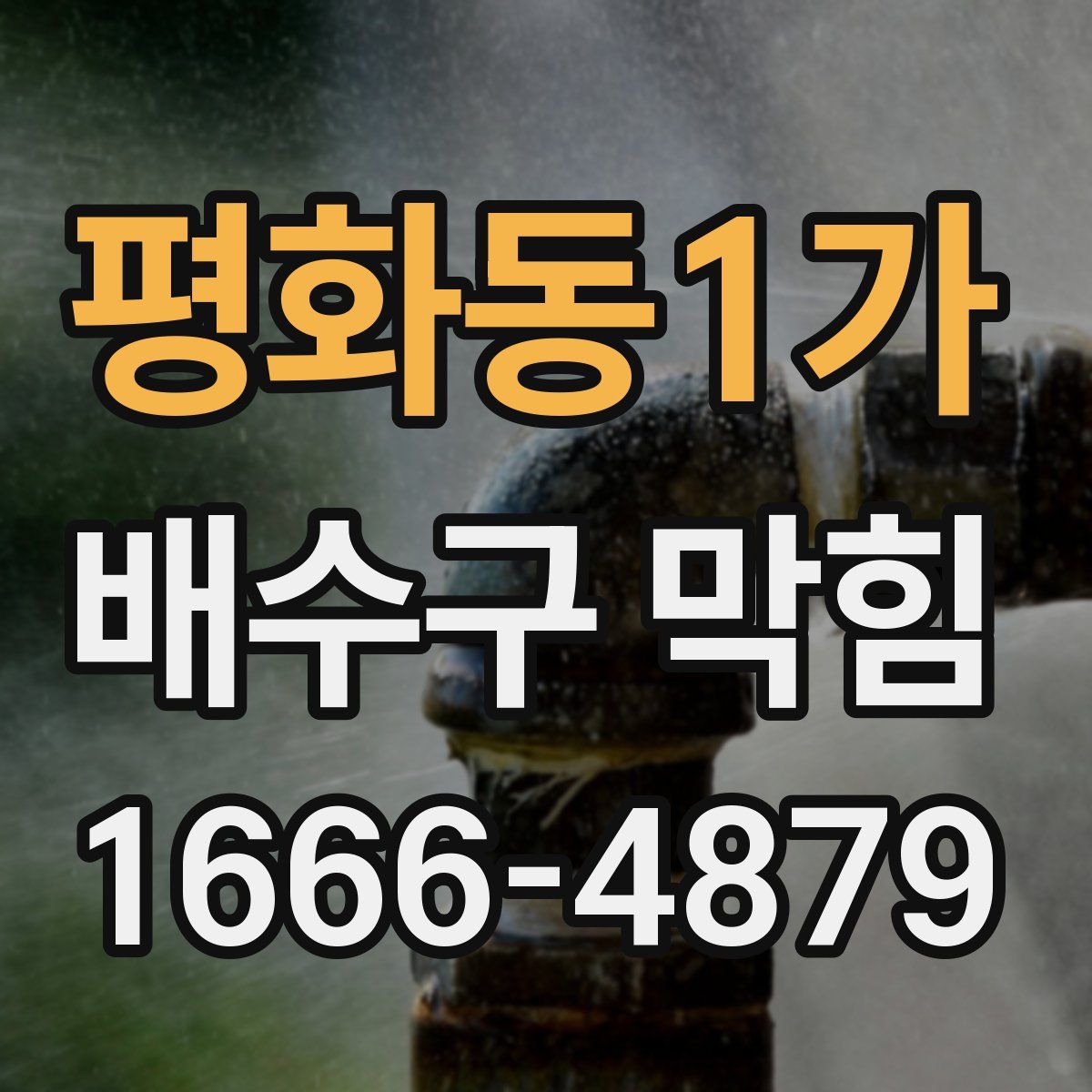 평화동1가 배수구 막힘
