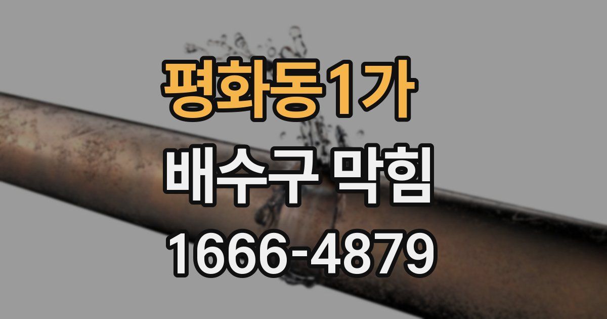 평화동1가 배수구 막힘