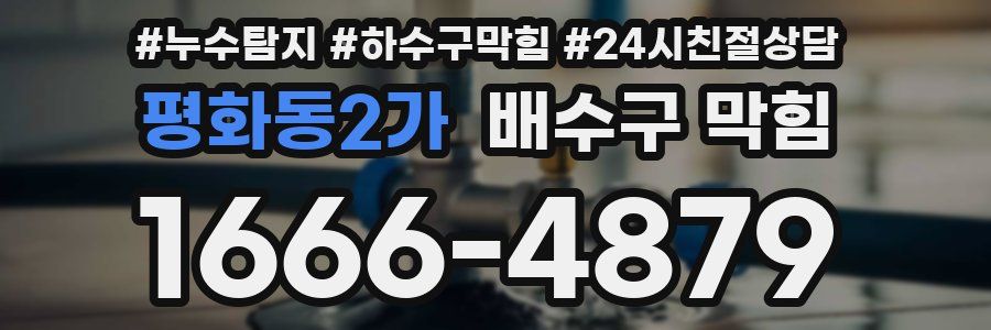평화동2가 배수구 막힘