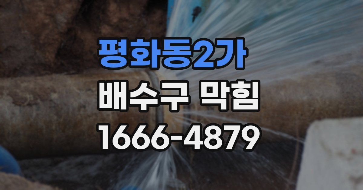 평화동2가 배수구 막힘
