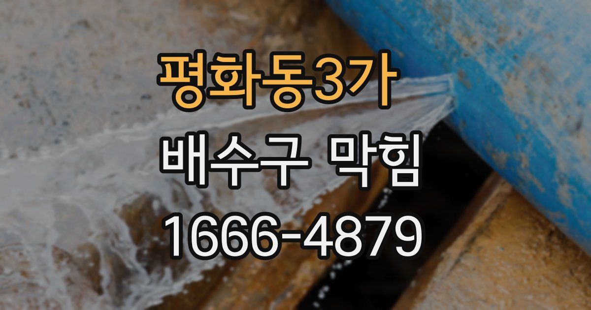 평화동3가 배수구 막힘