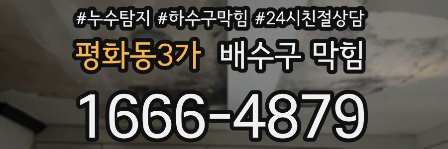 평화동3가 배수구 막힘