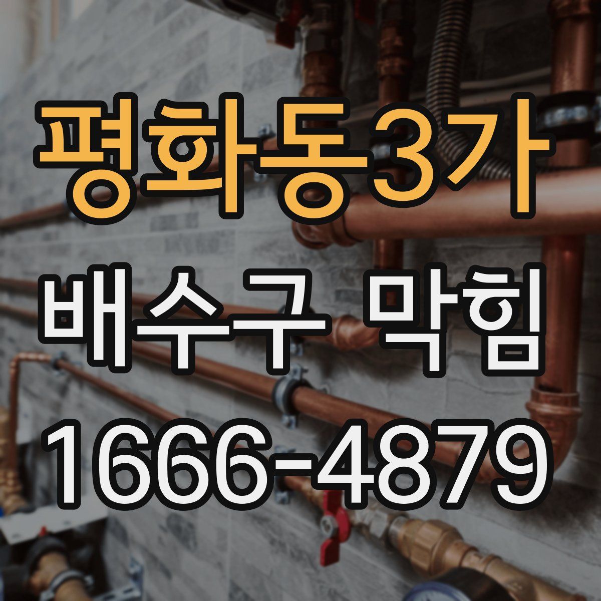 평화동3가 배수구 막힘