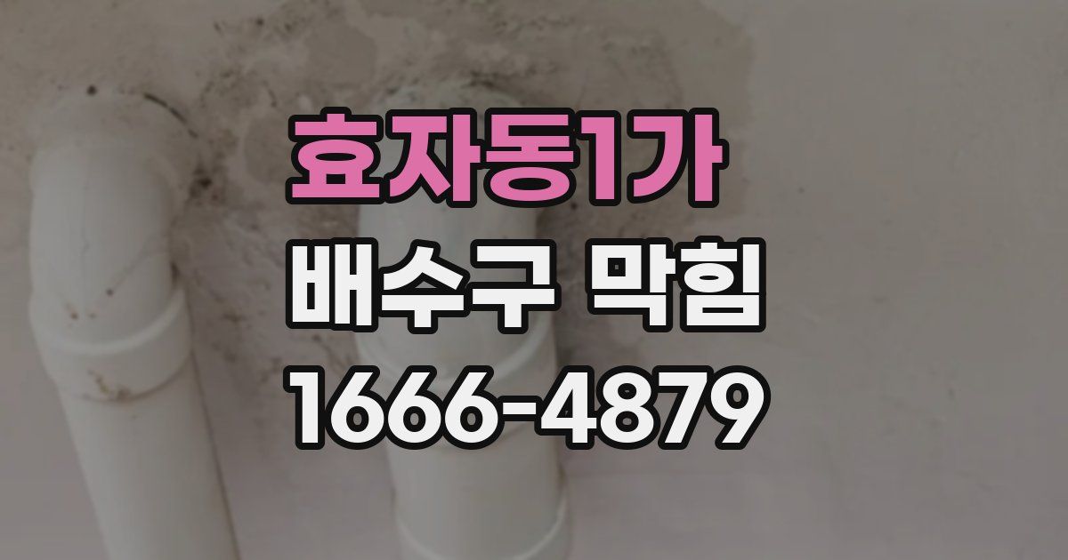 효자동1가 배수구 막힘