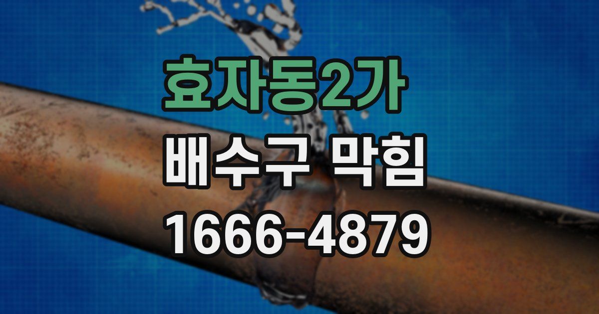 효자동2가 배수구 막힘