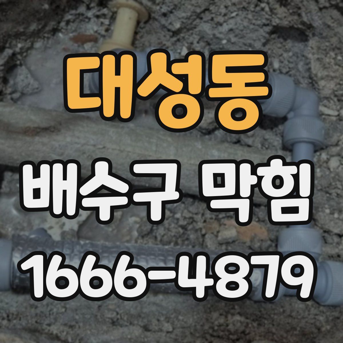 대성동 배수구 막힘
