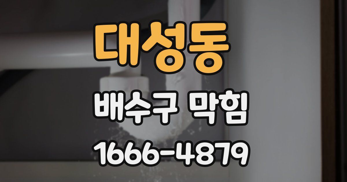 대성동 배수구 막힘