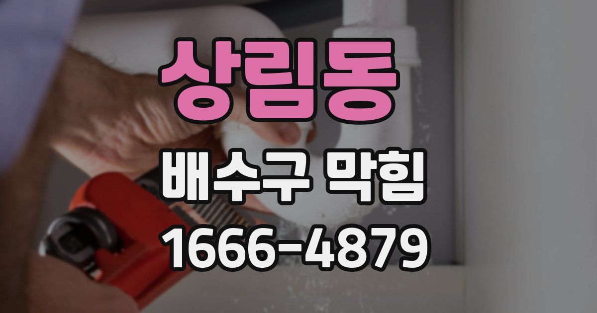 상림동 배수구 막힘