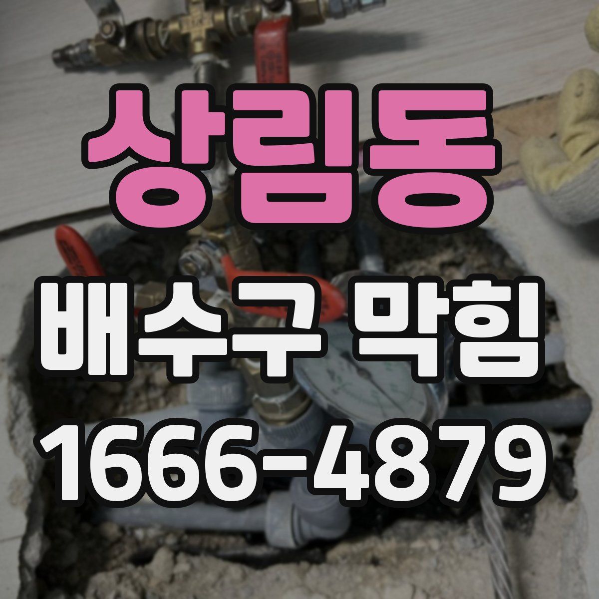 상림동 배수구 막힘