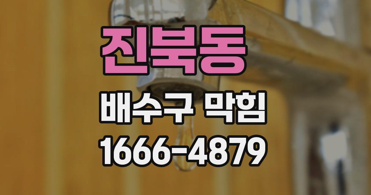 진북동 배수구 막힘
